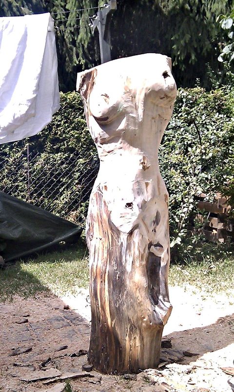 Gespaltener Torso – holzskulpturen, Douglasie