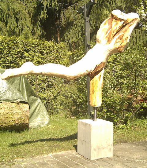 Paralympics – holzskulpturen, Douglasie