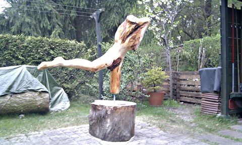 Paralympics – holzskulpturen, Douglasie