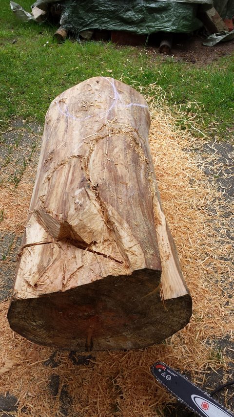 Der Poet – holzskulpturen, Douglasie