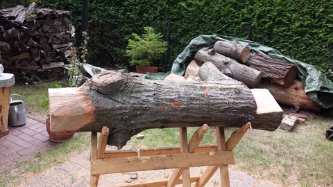 Läuferin – holzskulpturen, Spitzeiche