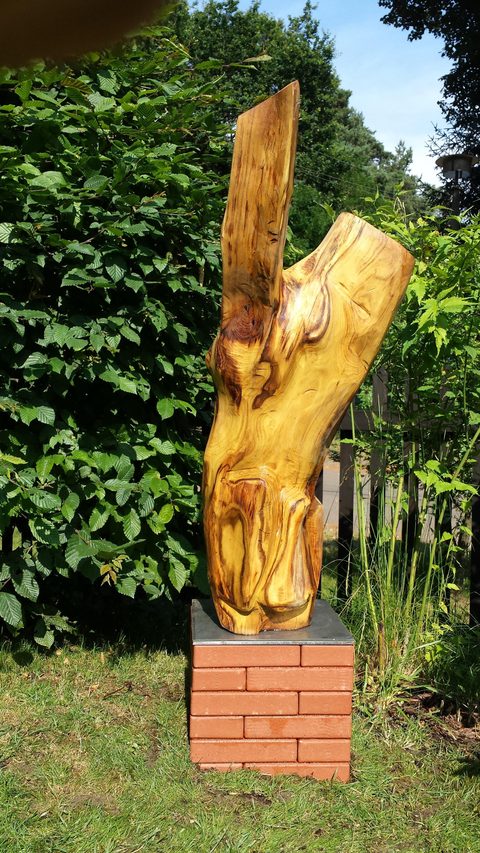 Robinientorso 2 – holzskulpturen, Robinie