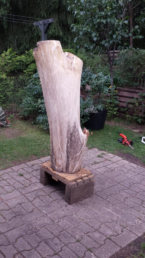 Hochzeitspaar – holzskulpturen, Linde