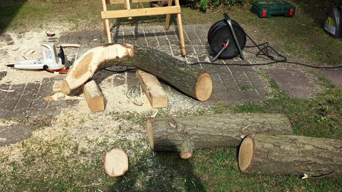 Marten – holzskulpturen, Eiche, Ahorn