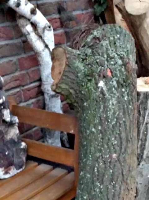 Waranus – holzskulpturen, Eiche