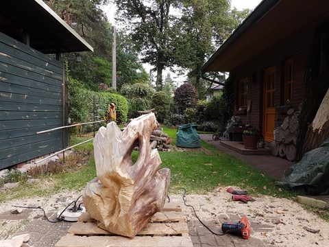 Fabelwesen – holzskulpturen, Holzart unbekannt