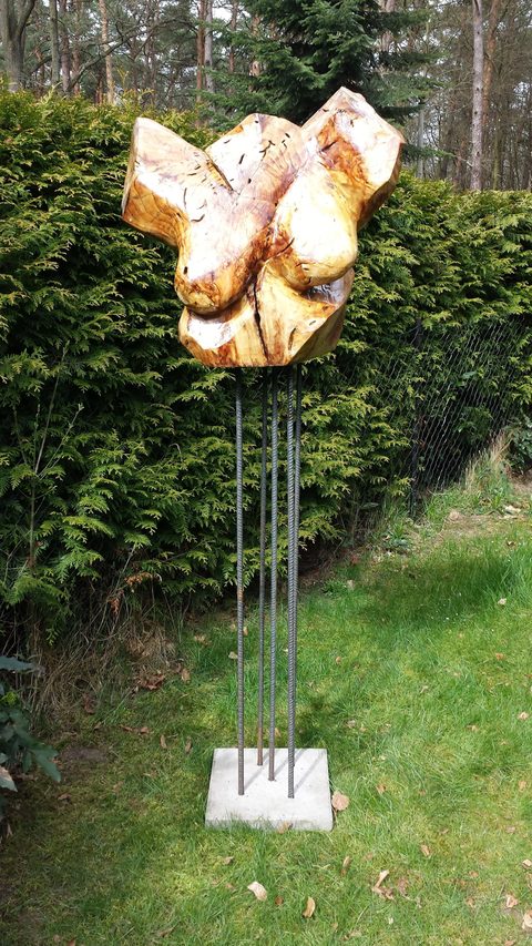 gewurmte Brust – holzskulpturen