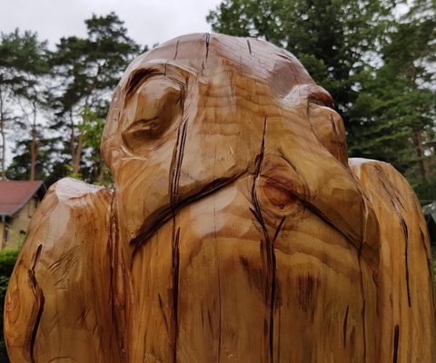 Knarschewo – holzskulpturen, Douglasie