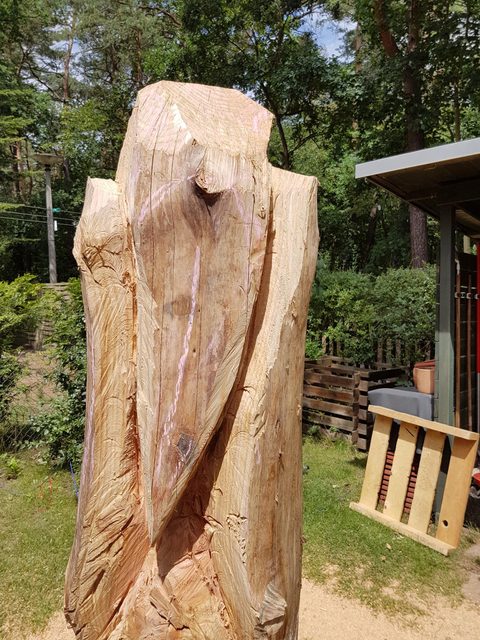 Knarschewo – holzskulpturen, Douglasie