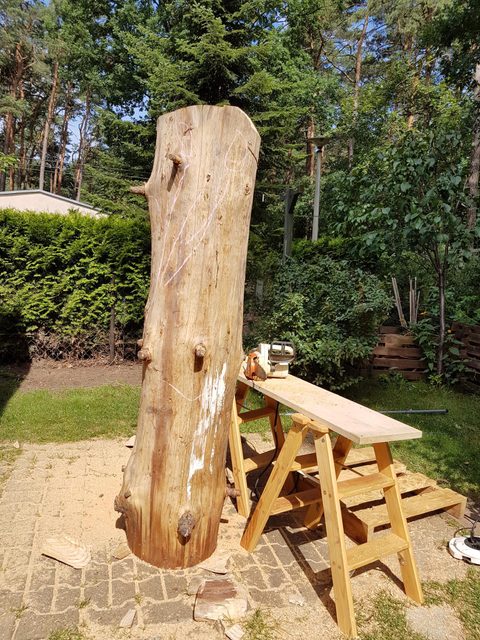 Knarschewo – holzskulpturen, Douglasie