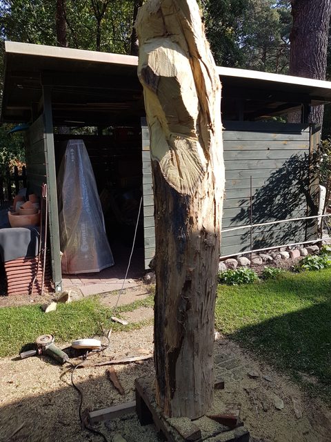 antje – holzskulpturen, Robinie