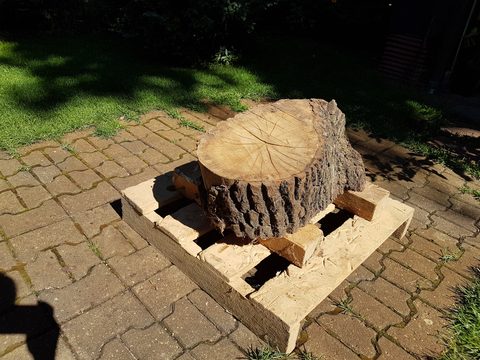 ruhende – holzskulpturen, kleines Stück Eiche