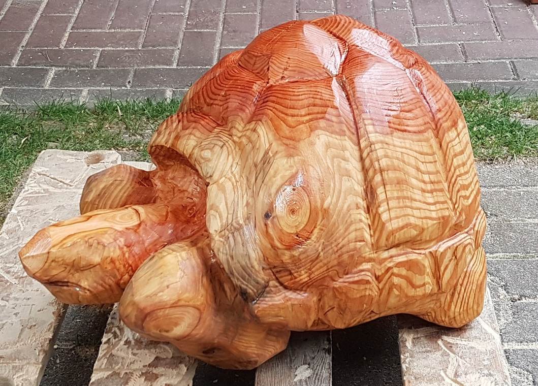 galapagosschildkröte – Holzskulpturen