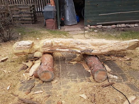 magersucht – holzskulpturen, Robinie