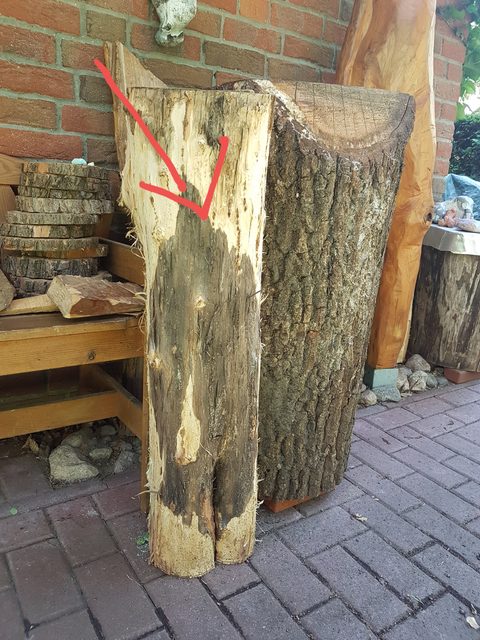 knieende – holzskulpturen, Robinie