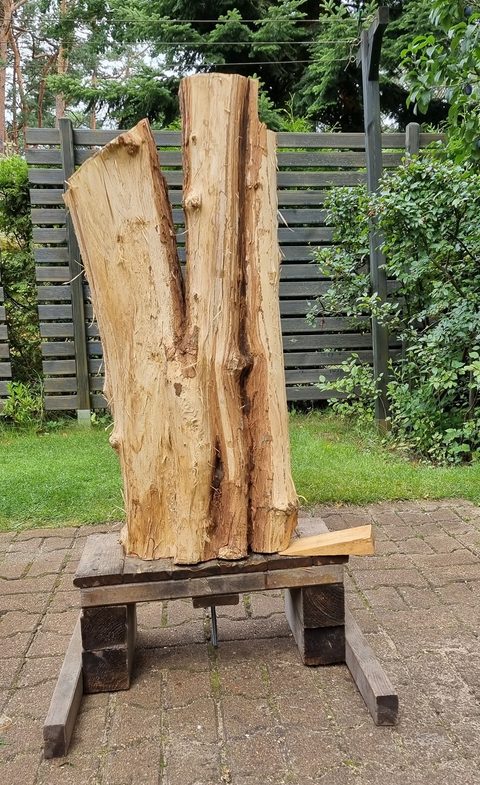 gruppe – holzskulpturen, Robinie