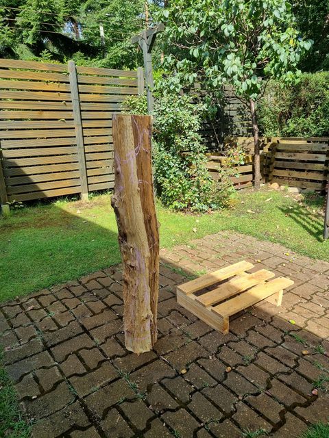 demut – holzskulpturen, Robinie