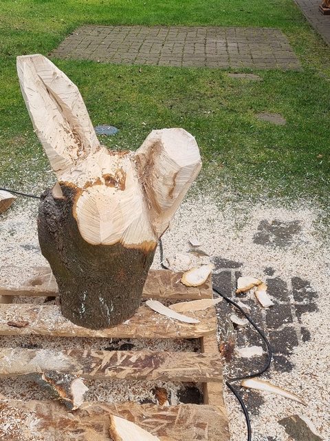 osterhase – holzskulpturen, Ahorn