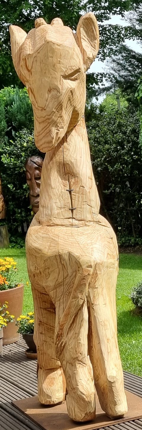elma – holzskulpturen, Esche