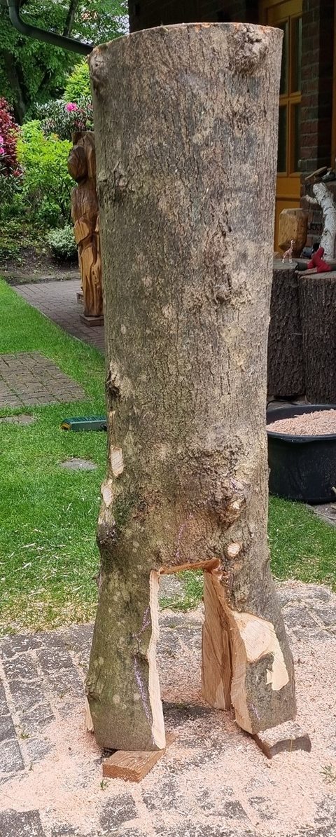 elma – holzskulpturen, Esche
