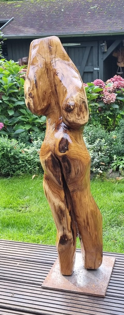 torso – holzskulpturen, Robinie