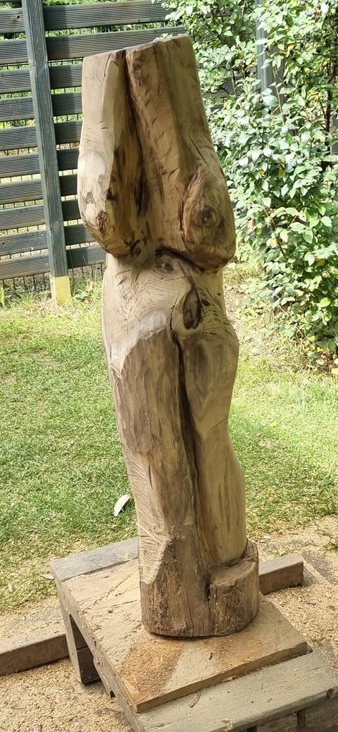 torso – holzskulpturen, Robinie