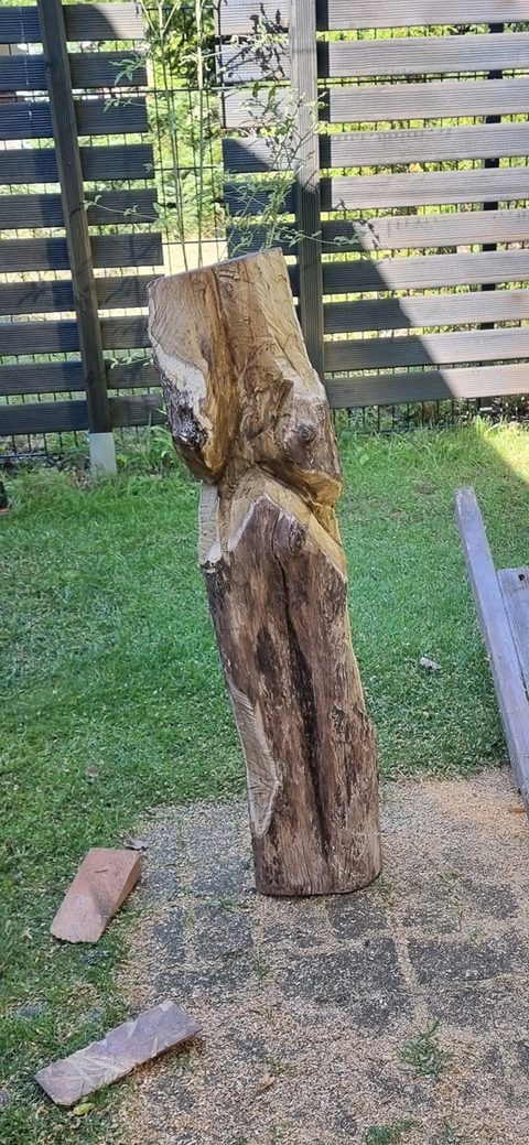 torso – holzskulpturen, Robinie